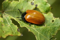 dsc01750.jpg