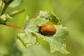 dsc01752.jpg