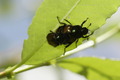 dsc01753.jpg