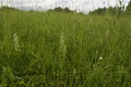 dsc01764.jpg