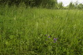 dsc01773.jpg