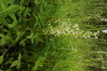 dsc01775.jpg