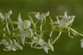 dsc01786.jpg
