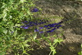 dsc01791.jpg