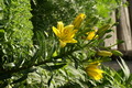 dsc01792.jpg