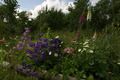 dsc01804.jpg