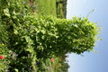 dsc01811.jpg