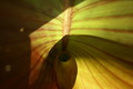 dsc01813.jpg
