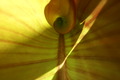 dsc01814.jpg
