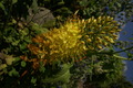 dsc01819.jpg