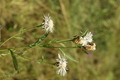 dsc01991.jpg