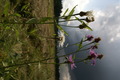dsc02004.jpg