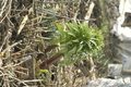 dsc02590.jpg