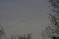 dsc02626.jpg