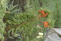 dsc02627.jpg
