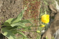 dsc02637.jpg