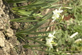 dsc02639.jpg