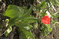 dsc02641.jpg