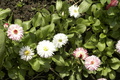 dsc02645.jpg