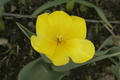 dsc02656.jpg