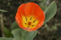 dsc02657.jpg