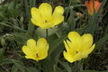 dsc02658.jpg