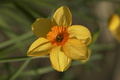 dsc02665.jpg