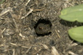 dsc02673.jpg