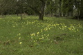 dsc02706.jpg