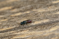 dsc02760.jpg
