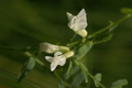 dsc02775.jpg