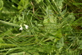 dsc02779.jpg