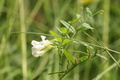 dsc02781.jpg
