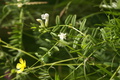 dsc02790.jpg