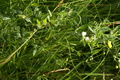 dsc02796.jpg