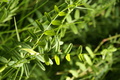 dsc02802.jpg