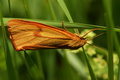 dsc02812.jpg