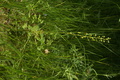 dsc02814.jpg