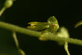 dsc02816.jpg