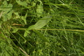 dsc02818.jpg