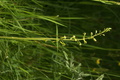 dsc02819.jpg