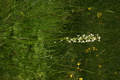 dsc02821.jpg
