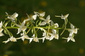 dsc02823.jpg