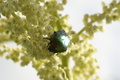 dsc02834.jpg
