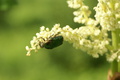 dsc02836.jpg