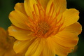 dsc02849.jpg