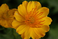 dsc02851.jpg