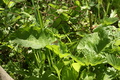 dsc02862.jpg