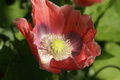dsc02875.jpg