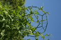 dsc02879.jpg